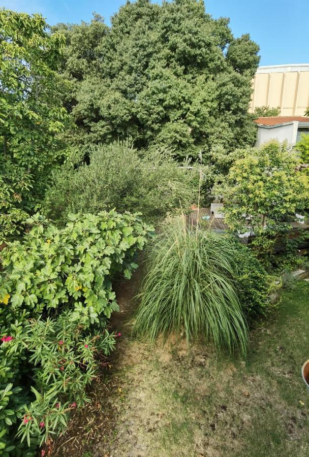 Pine And Lime Apartments Pula Bagian luar foto
