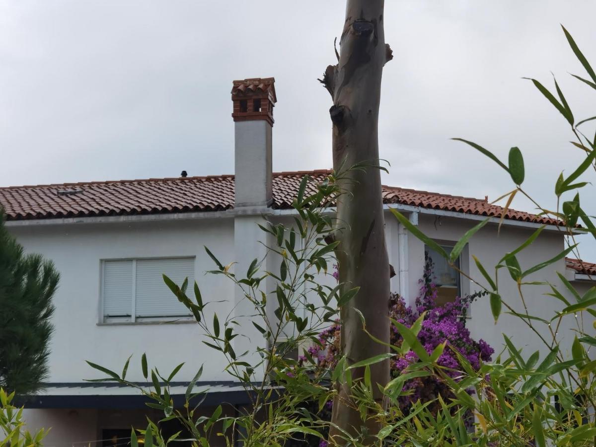 Pine And Lime Apartments Pula Bagian luar foto
